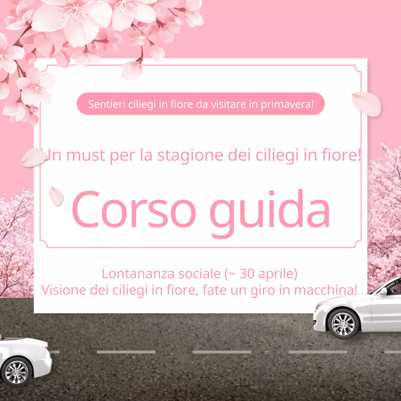 Corso di guida rosa a tema primaverile sulla stagione dei ciliegi in fiore