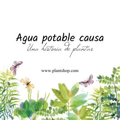 Historias de floristas