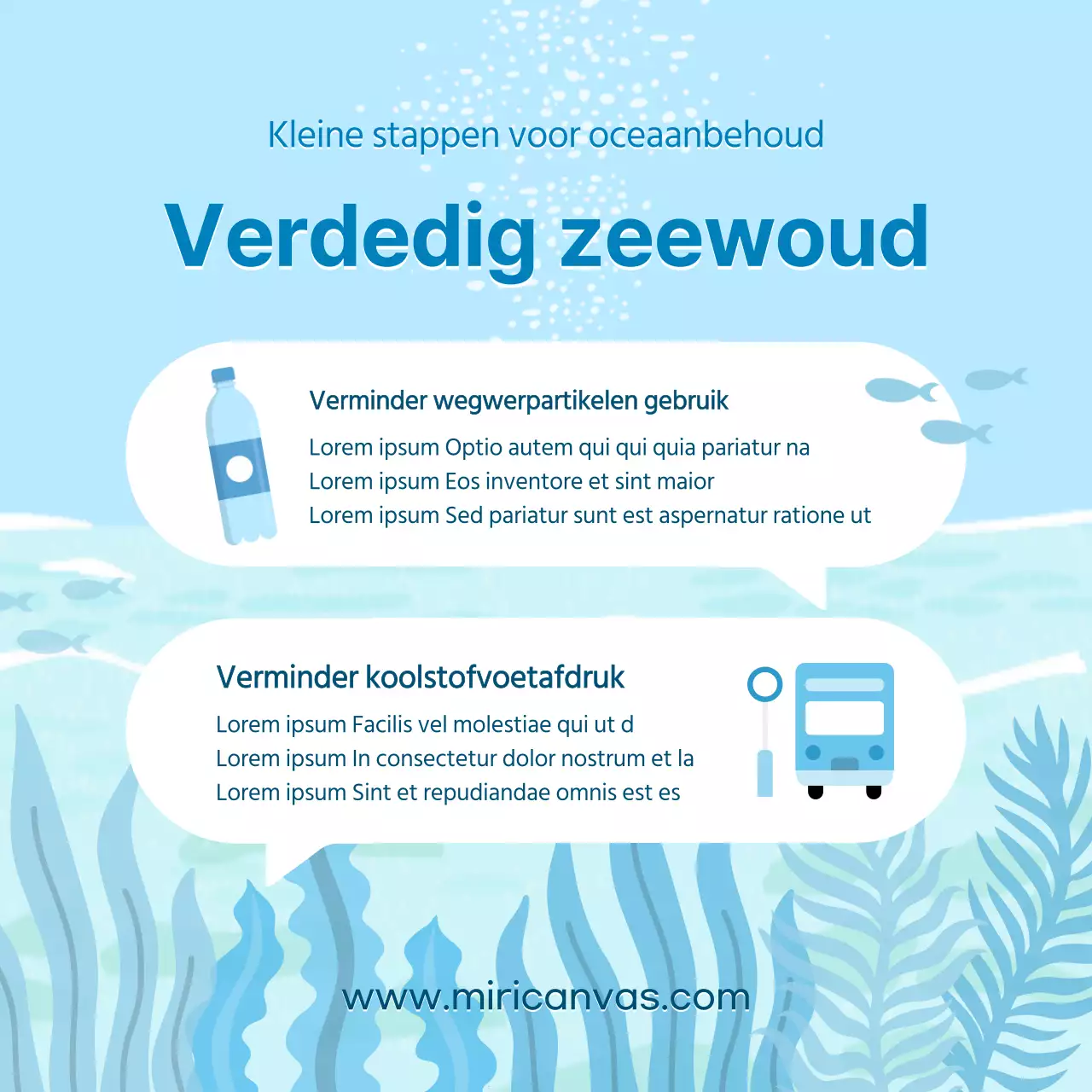 What's in the Sky Blue Sea Forest en Sea Food Day?