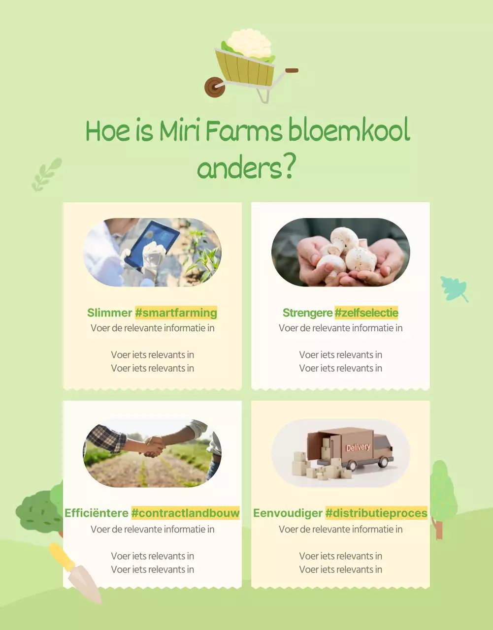 Promoot de groene en gele natuurlijke bloemkoolbeschrijving