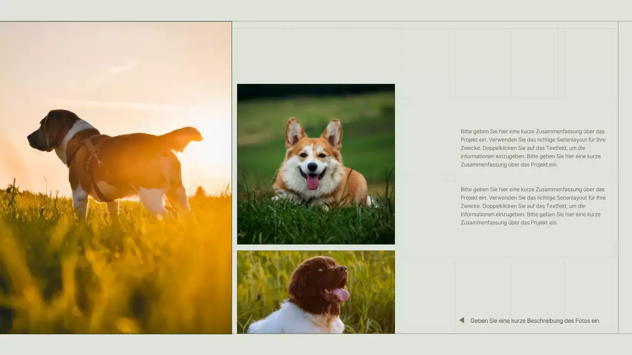 Portfolio eines Content-Vermarkters mit grünem, einfachem Gitterkonzept