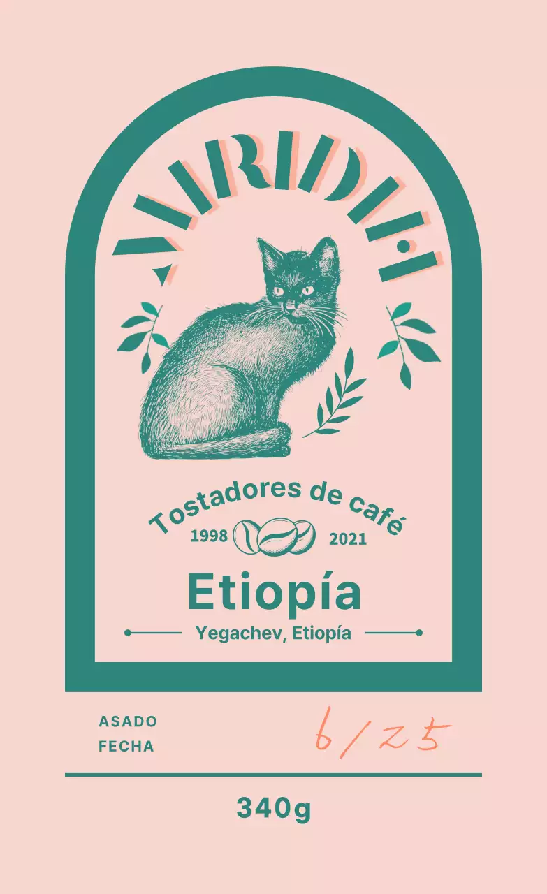 Guía de marcas y granos de café con un diseño tipográfico verde y rosa
