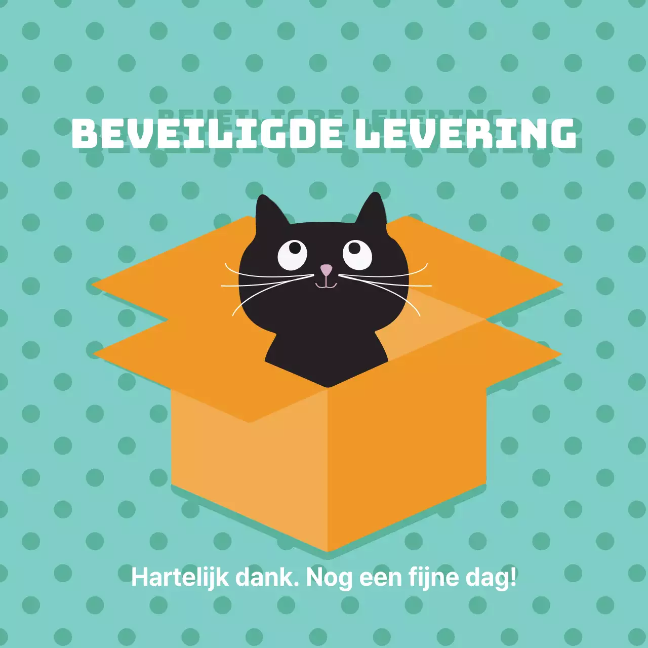 Beveiligde levering
