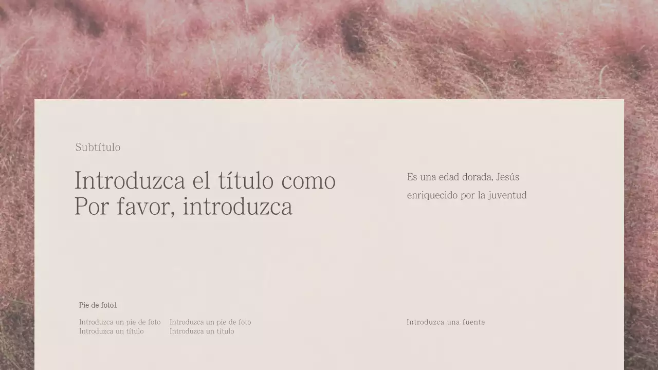 Presentaciones emocionales