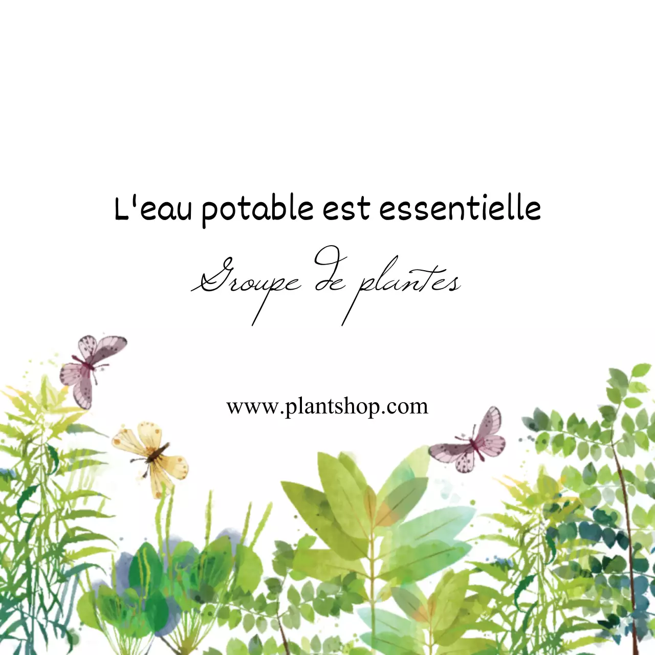 Plantes
