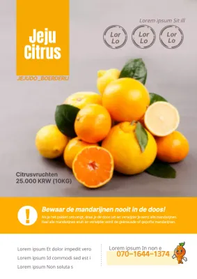 Promoot een citrusboerderij met gele mandarijnfoto's en mandarijnfiguren