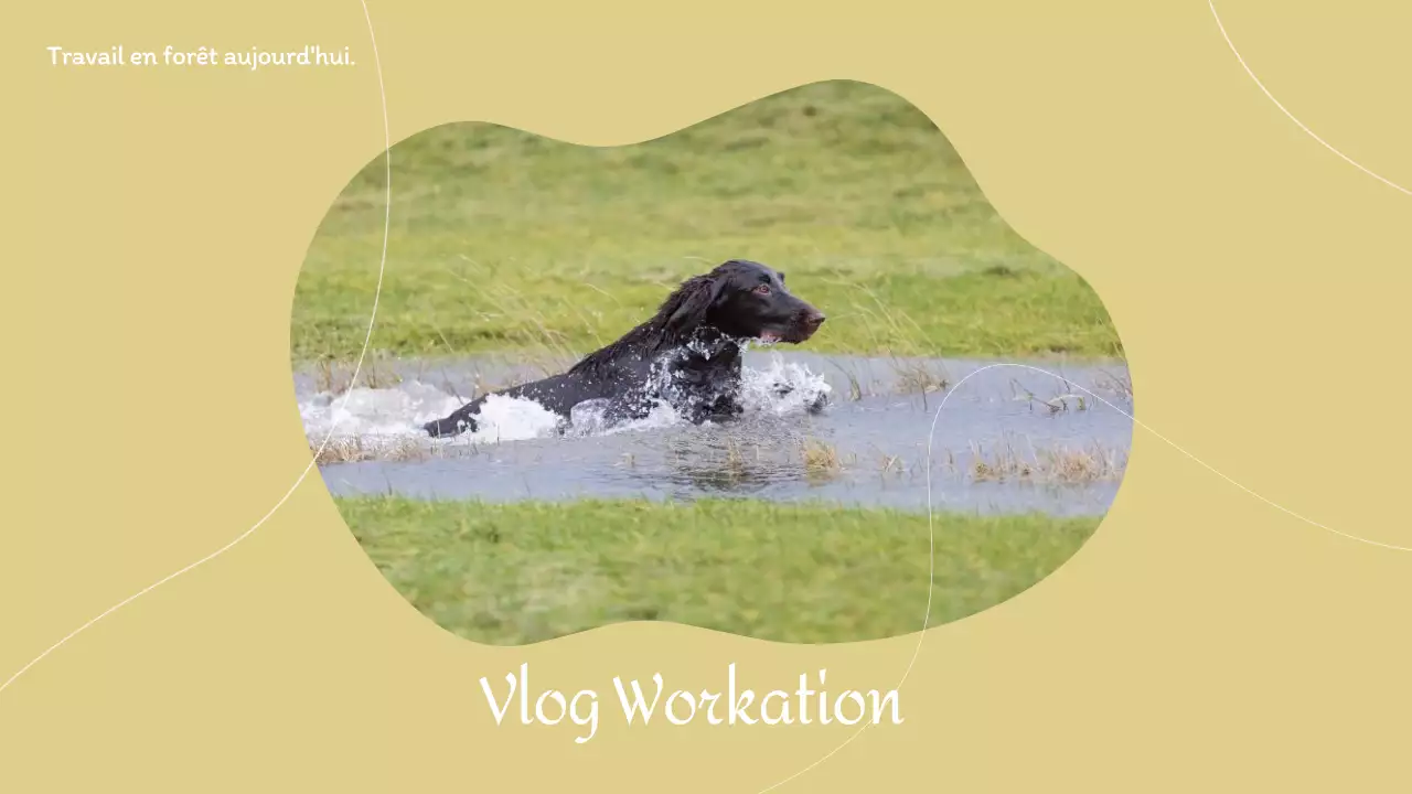 Vignette du vlog YouTube "Yellow Work Vacation" (en anglais)