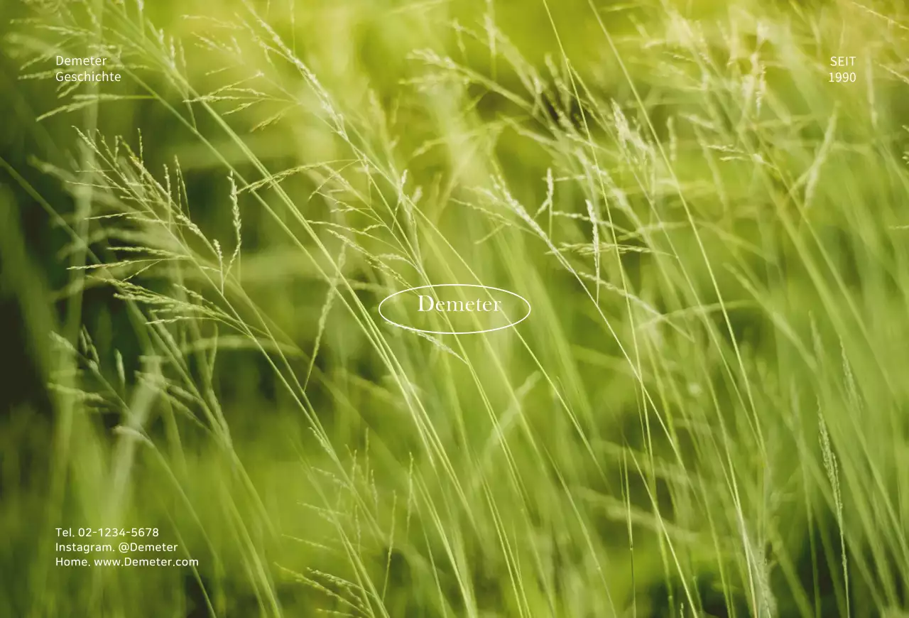 Einfache FotohintergrundkartePostkarte