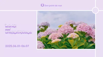 Hortensia violet pastel de l'île de Jeju vlog YouTube thumbnail