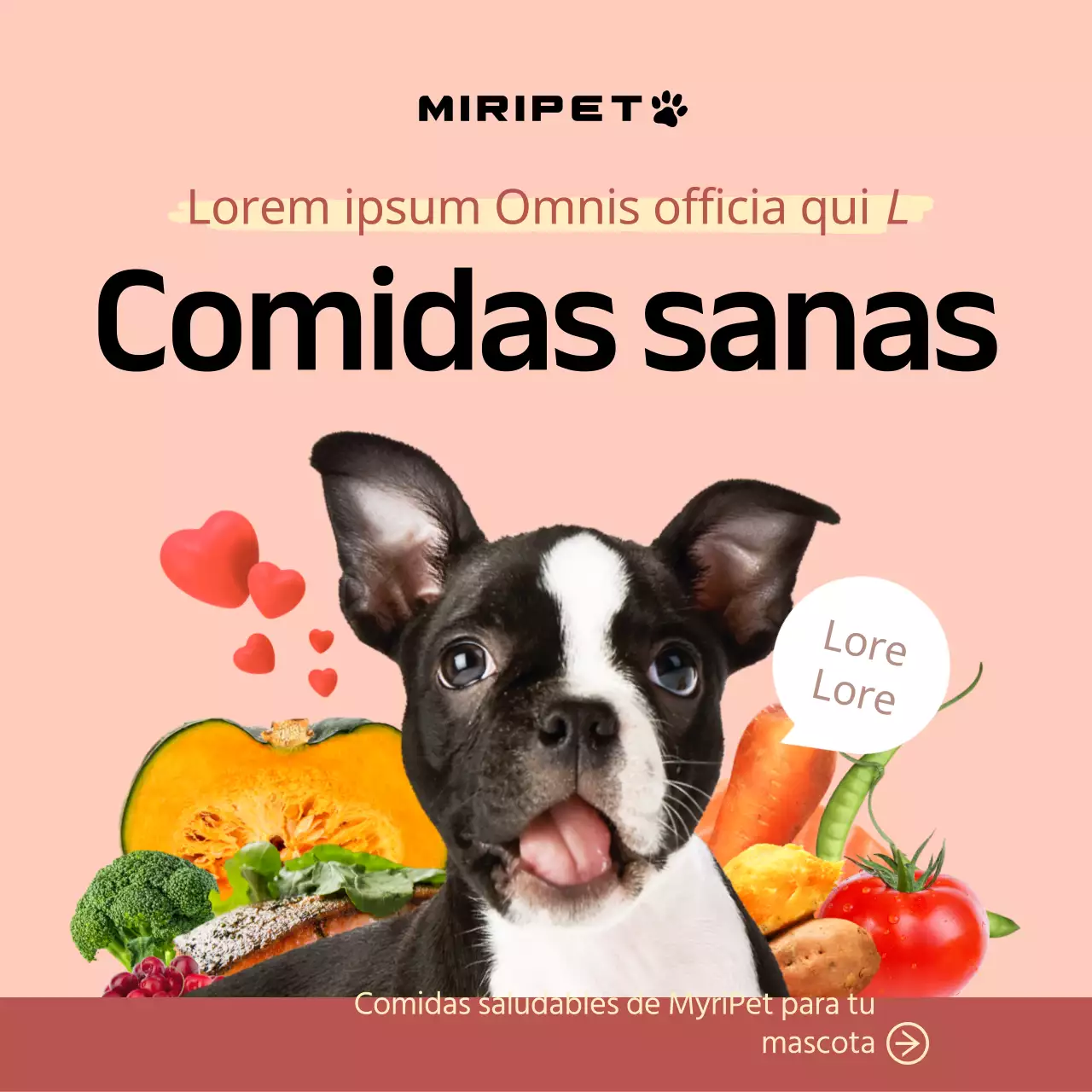 Promocione la comida para mascotas con fotos de simpáticos perros e ingredientes sobre un fondo rosa