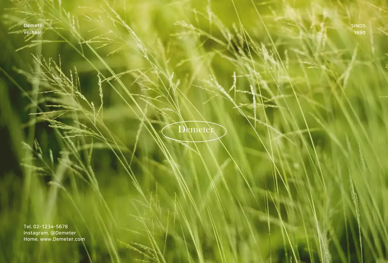 Eenvoudige foto-achtergrondkaartPostkaart