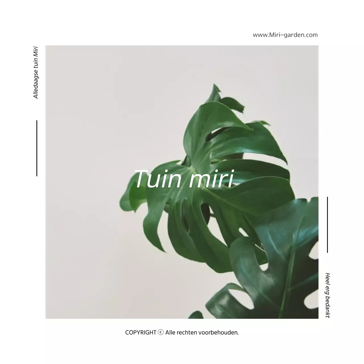 botanisch concept interieurwinkel mallexchange ansichtkaart