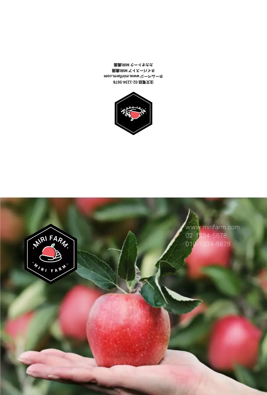 フルーツ写真 商品説明 果樹園用ポストカード