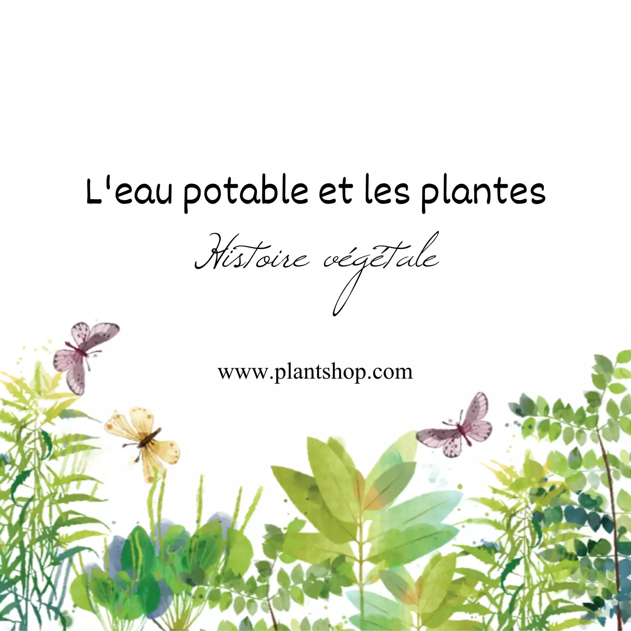 Histoires de fleuristes