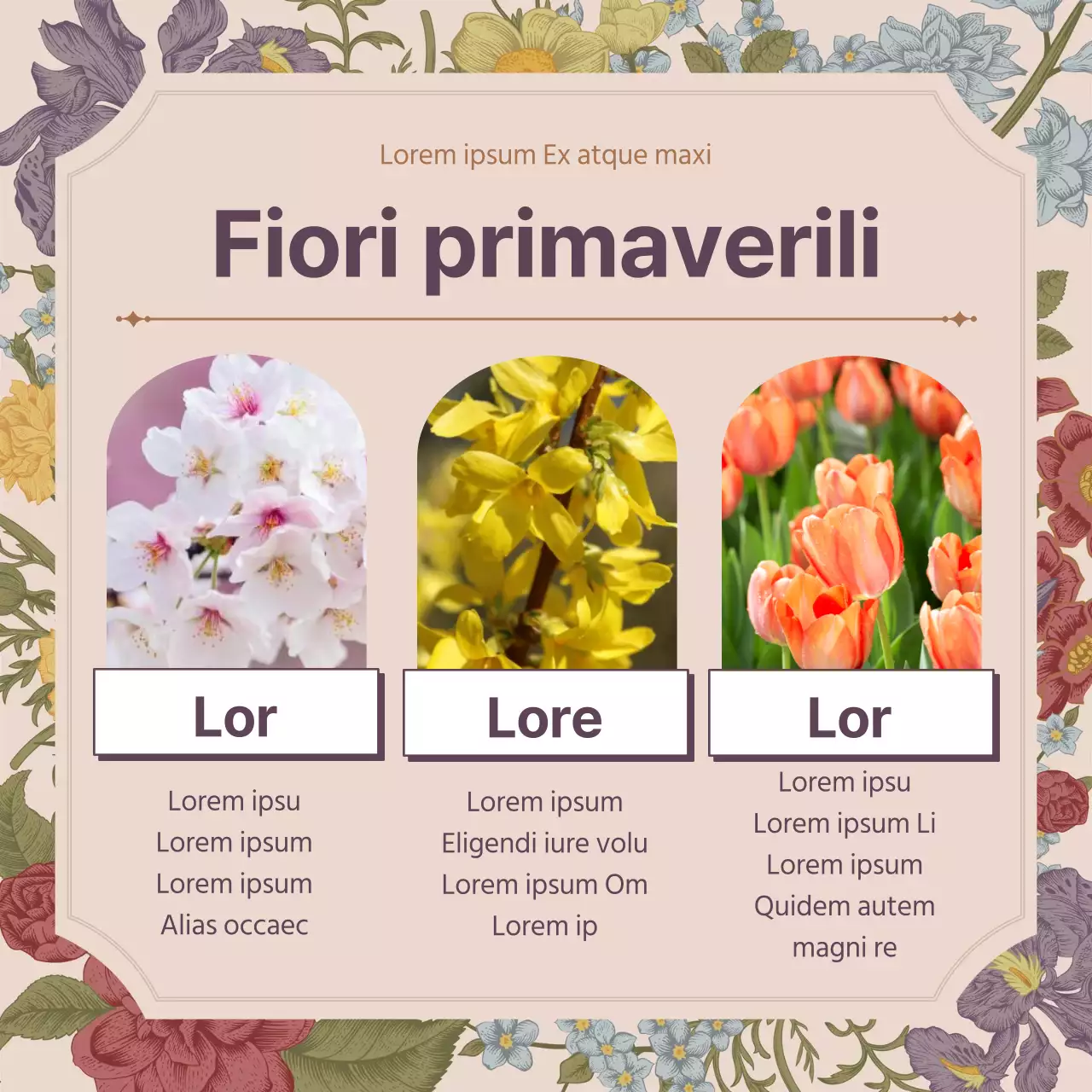 Concetto di fiore primaverile di fiore rosa vintage concetto completo