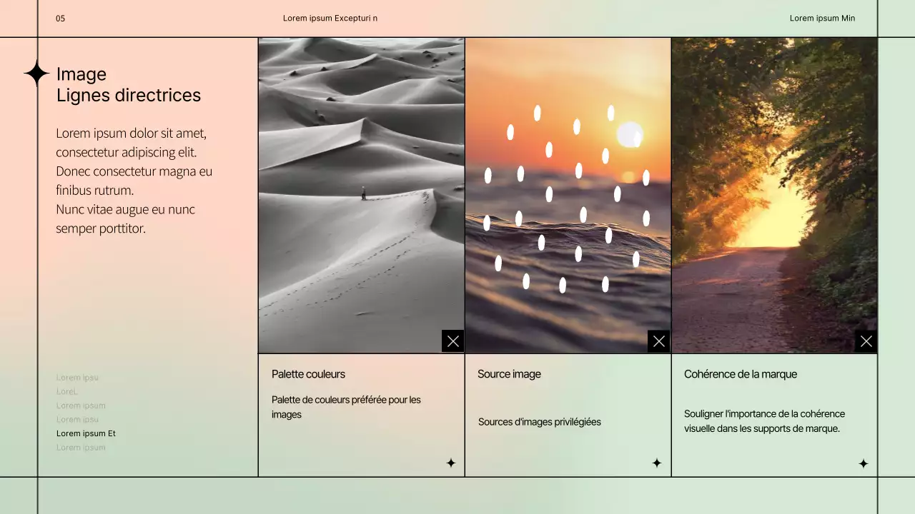 Lignes directrices simples pour la conception d'une marque avec un motif de lignes noires sur un fond pastel