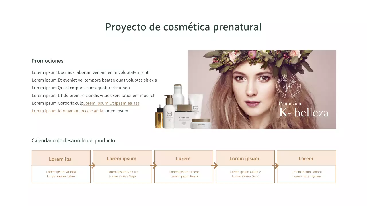 Cuadro cronológico de la empresa de cosméticos en marrón