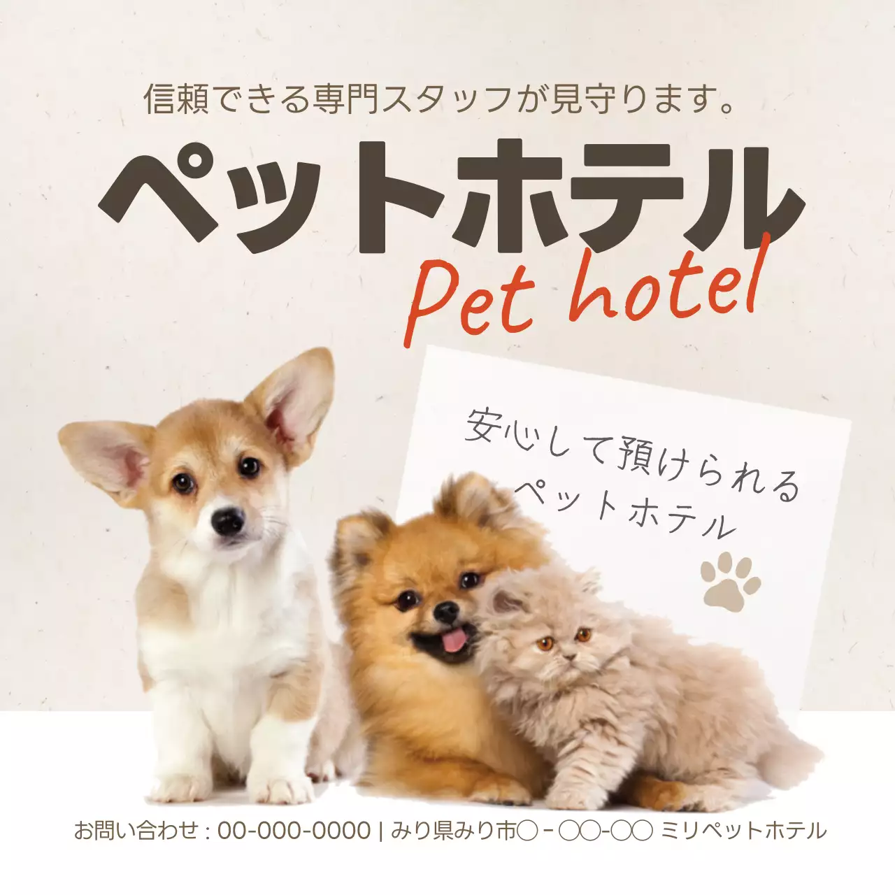 白 シンプル ペット チラシ Instagram投稿