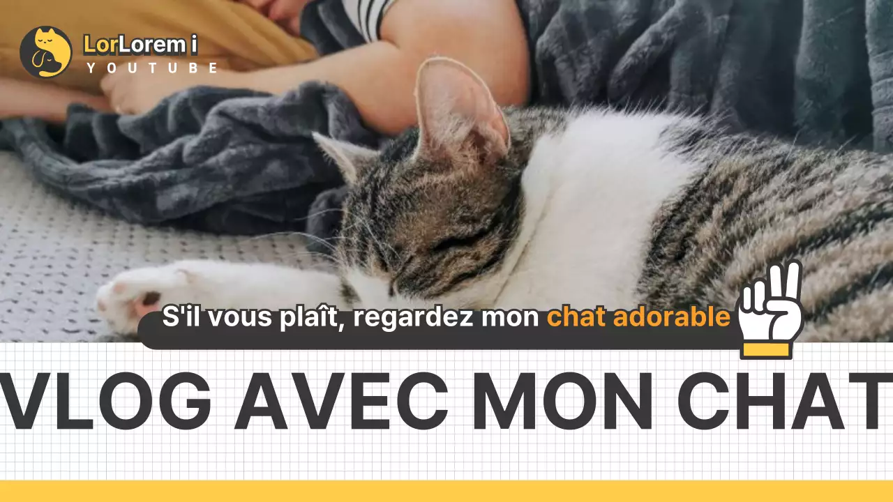 Vlogs de chats