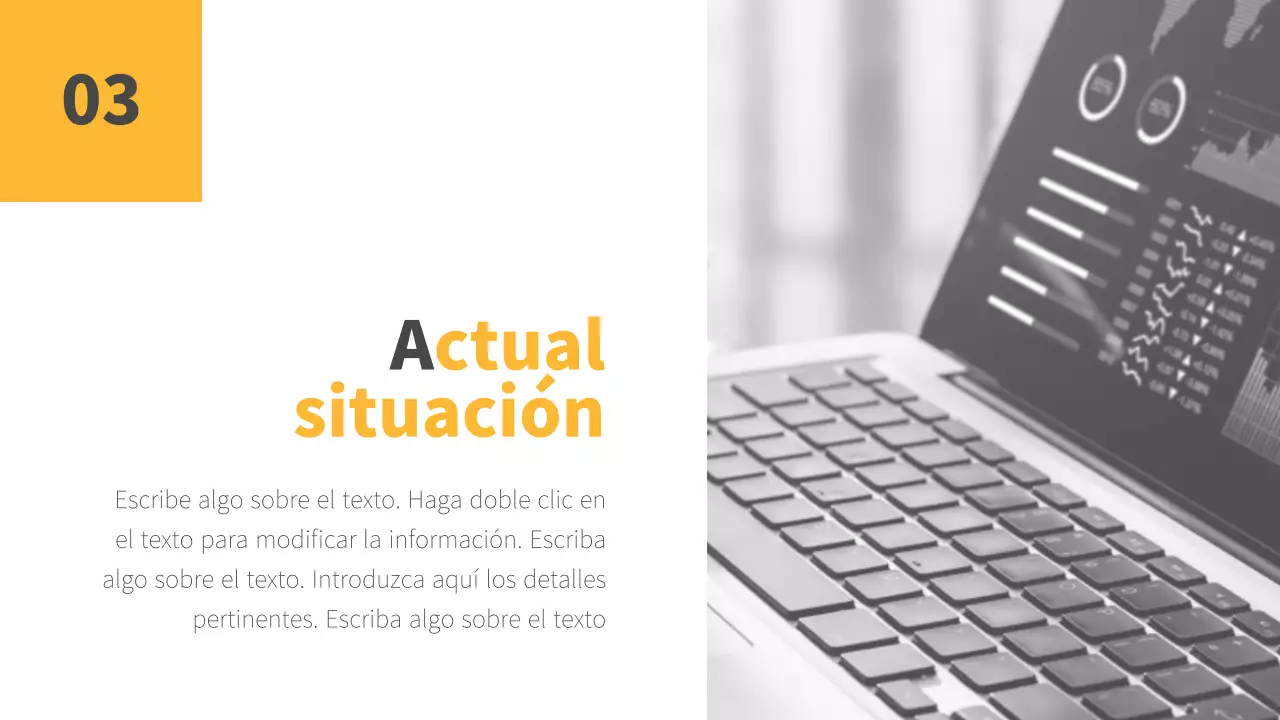 Informe sobre la situación de la empresa