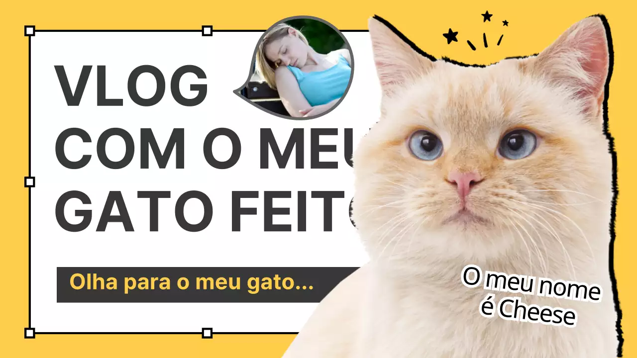 Vlogs de gatos