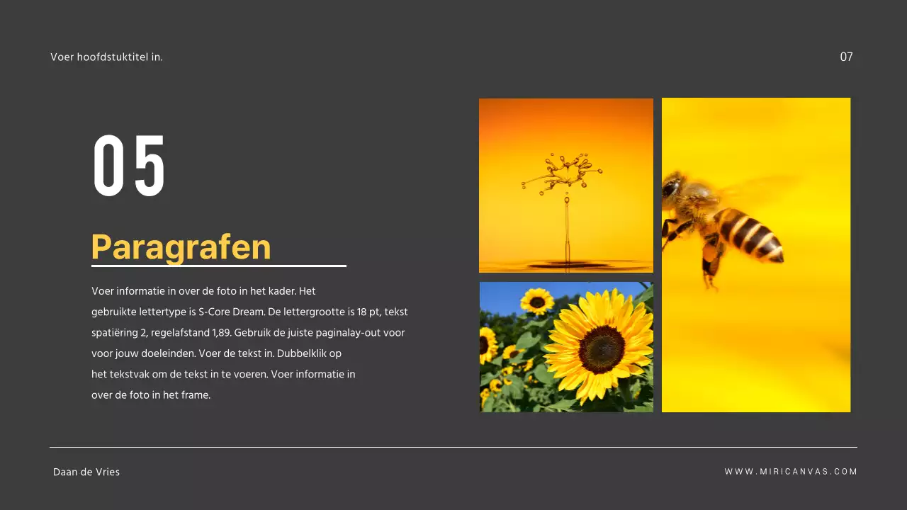 Eenvoudige presentaties