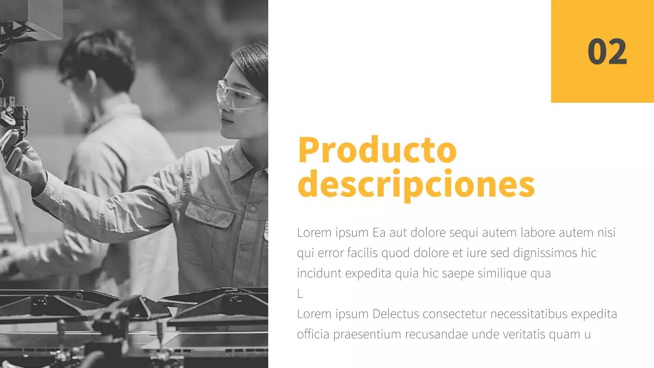 Informe sobre la situación de la empresa