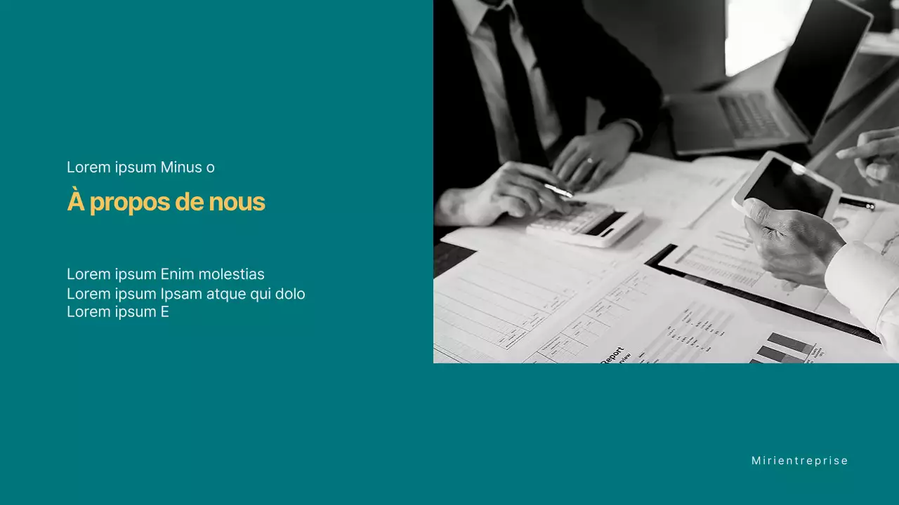 Profil de l'entreprise