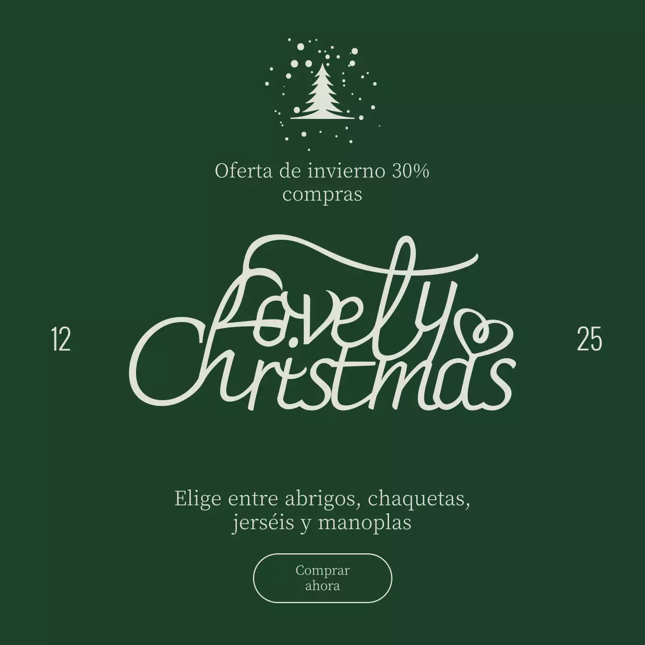 Sencilla y limpia plaza de eventos navideños de invierno