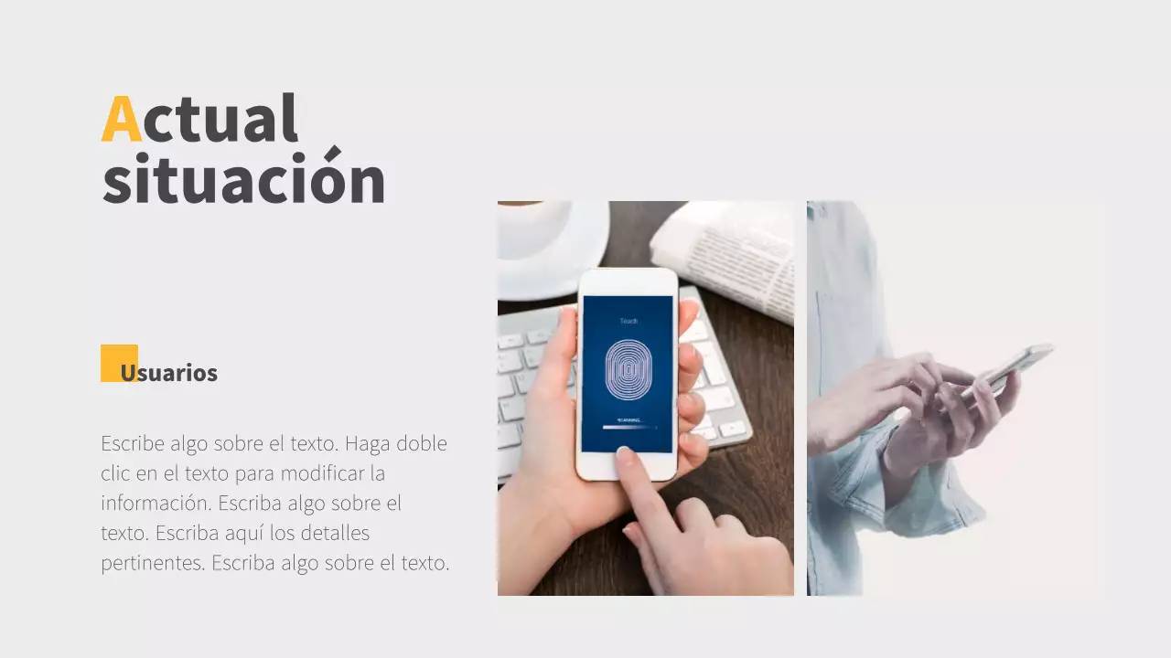 Informe sobre la situación de la empresa