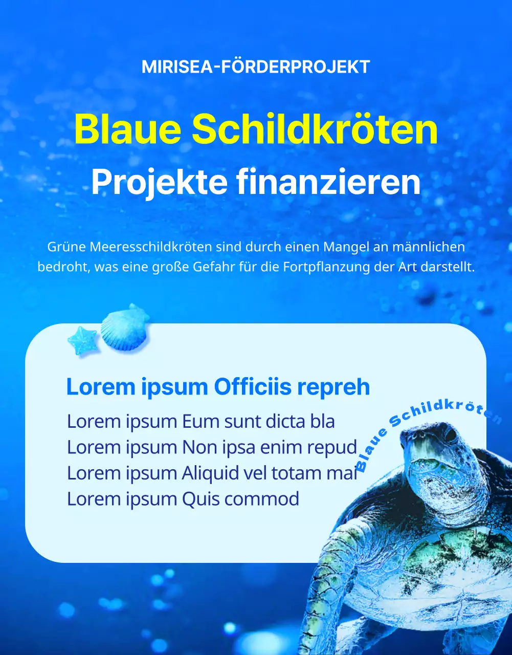 Finanzierung des Schutzes der blauen und gelben Unechten Karettschildkröte, einer vom Aussterben bedrohten Rifftierart.