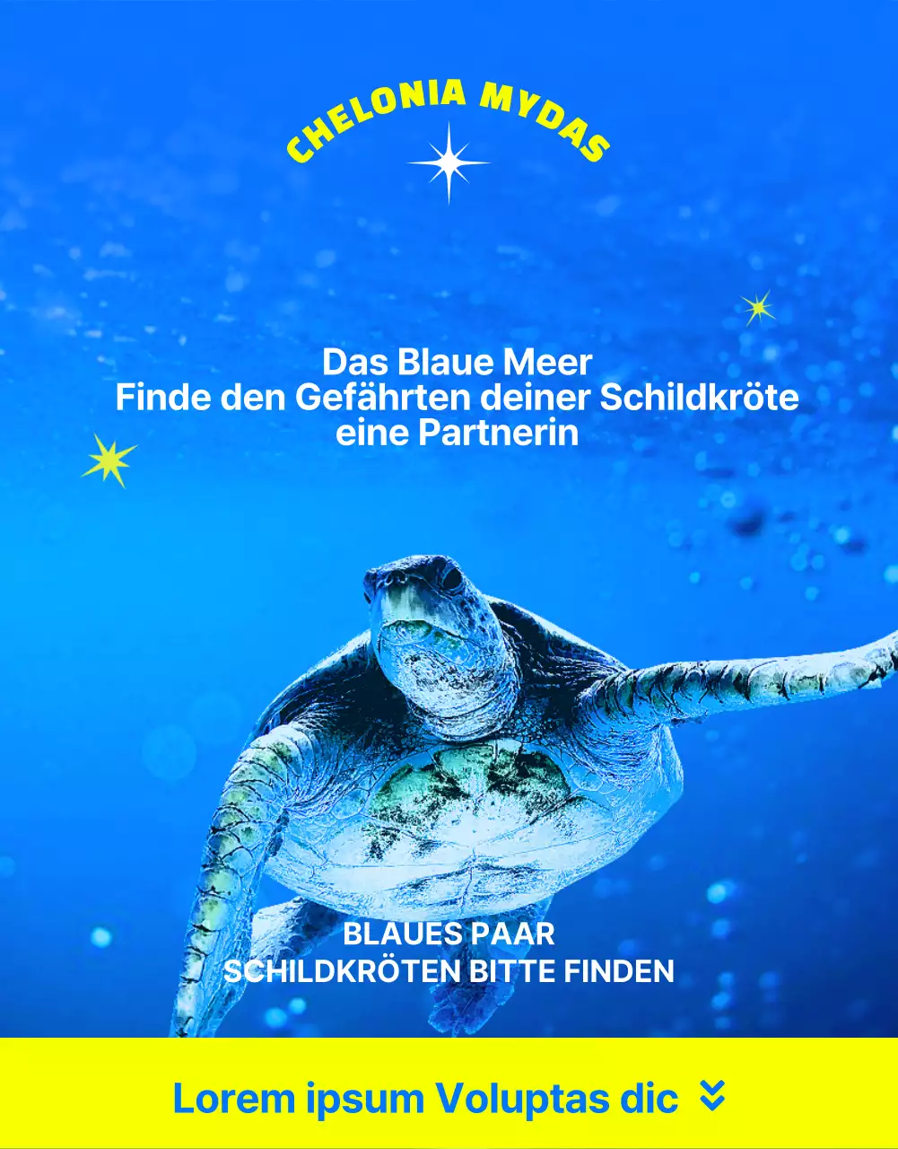 Finanzierung des Schutzes der blauen und gelben Unechten Karettschildkröte, einer vom Aussterben bedrohten Rifftierart.