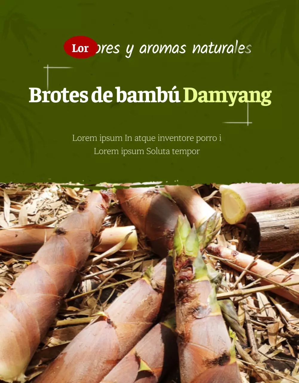 Alimentos ecológicos y saludables página detallada