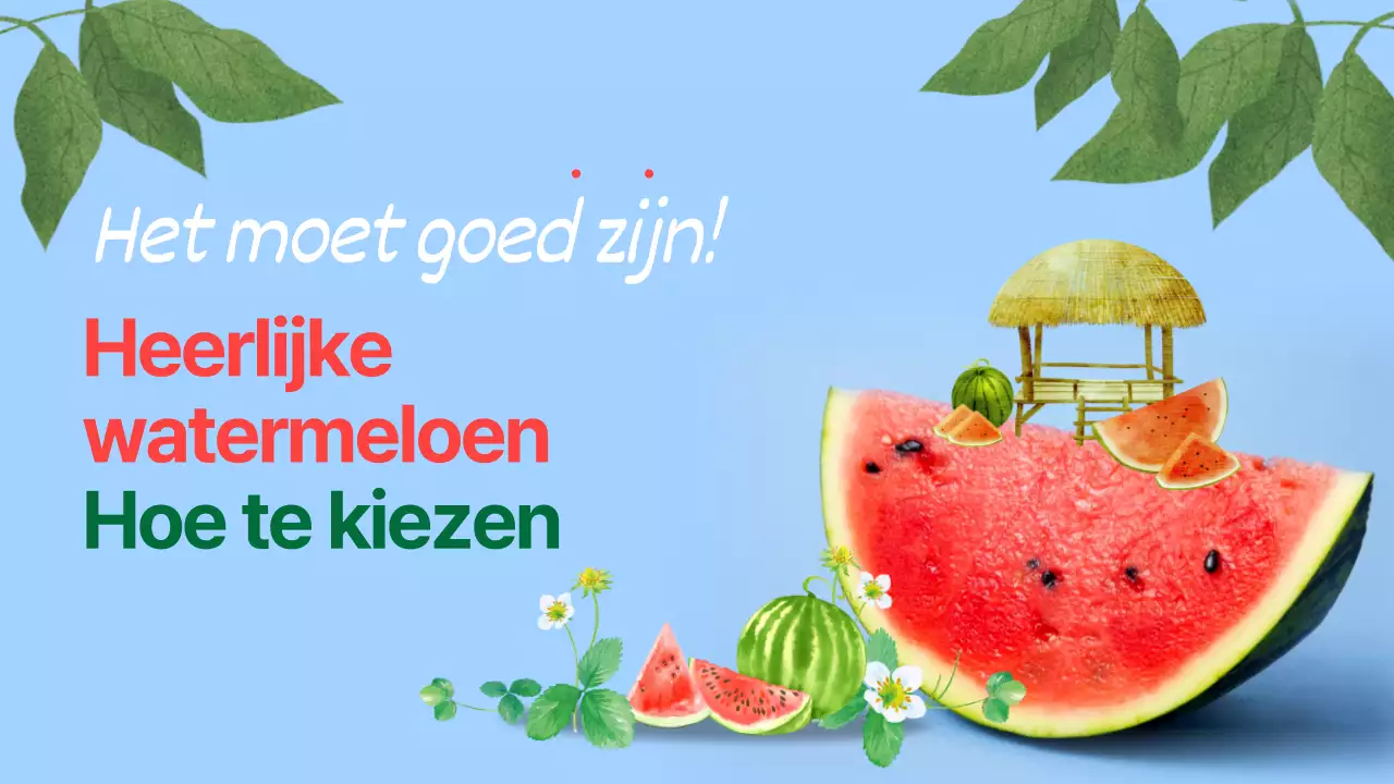 Hoe je een heerlijke watermeloen plukt Geïllustreerd met Blauw en watermeloen