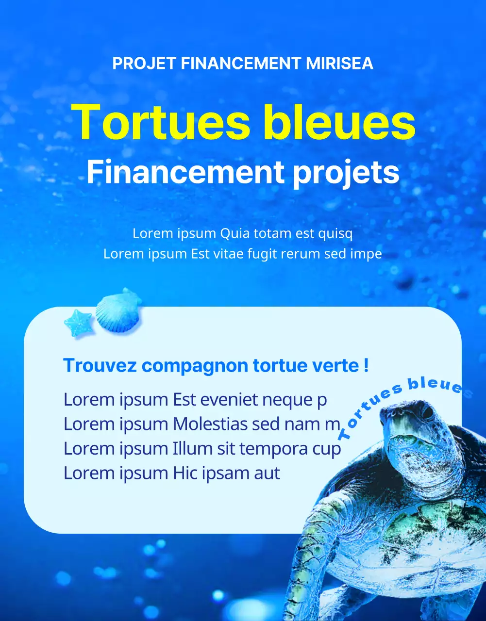 Financement de la conservation de la tortue caouanne bleue et jaune, une créature des récifs coralliens menacée d'extinction.