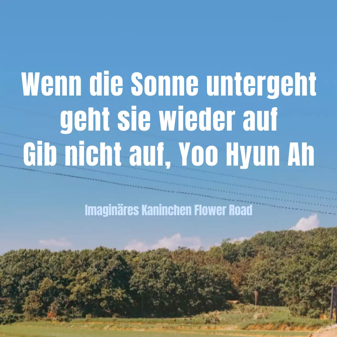 Emoji soziale Bilder