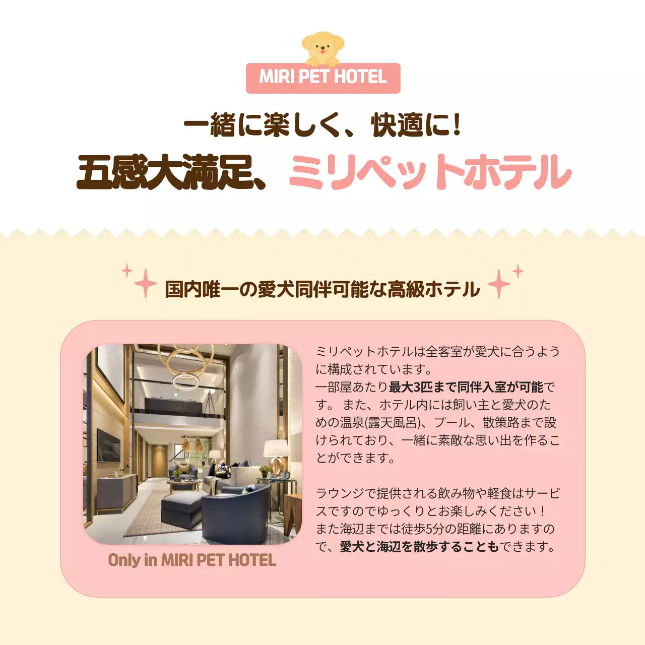 ベージュ かわいい ペット ポスター Instagram カルーセル