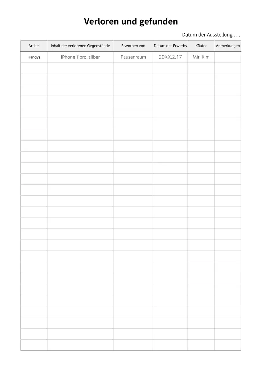 Grundlegende Dokumentationsvorlage für Fundsachen