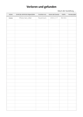 Grundlegende Dokumentationsvorlage für Fundsachen