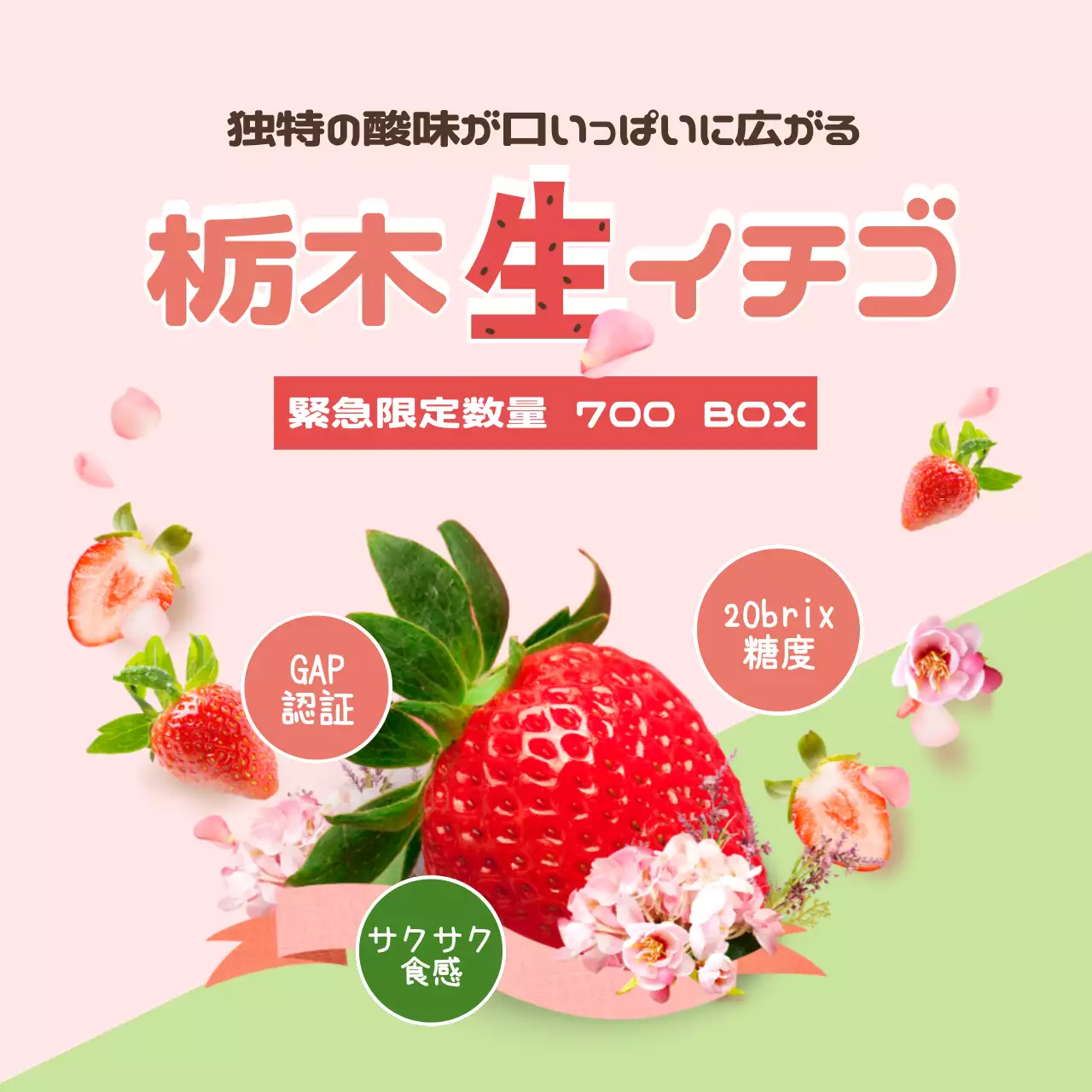 ピンク かわいい イチゴ ポスター SNS投稿 正方形