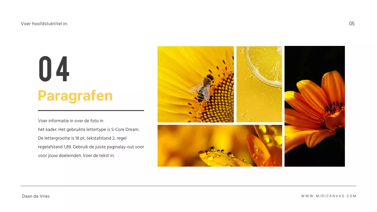 Eenvoudige presentaties