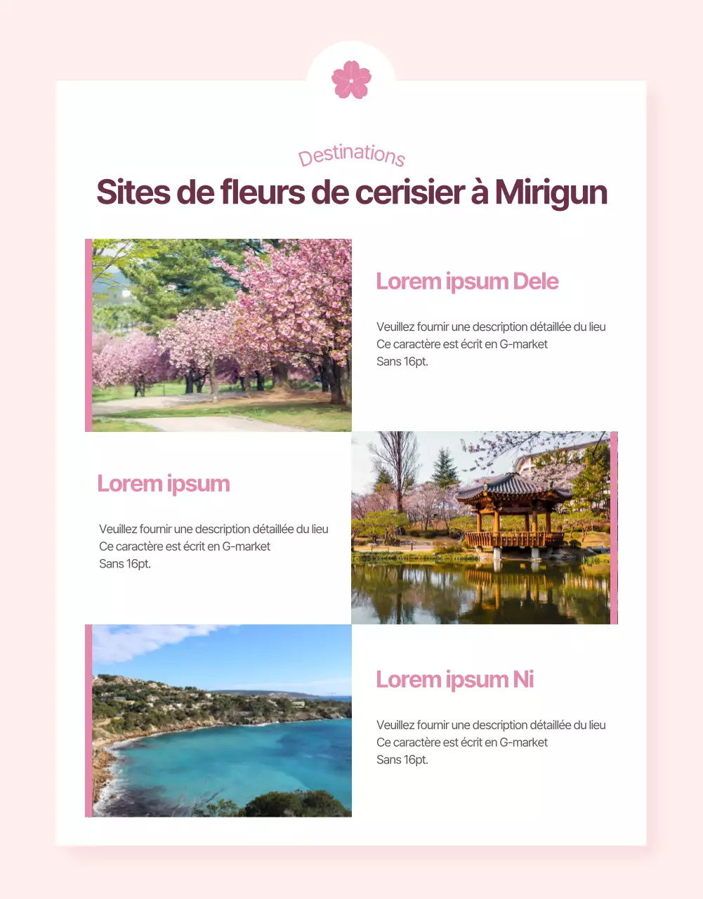 Promouvoir les visites de cerisiers en fleurs avec une touche de rose