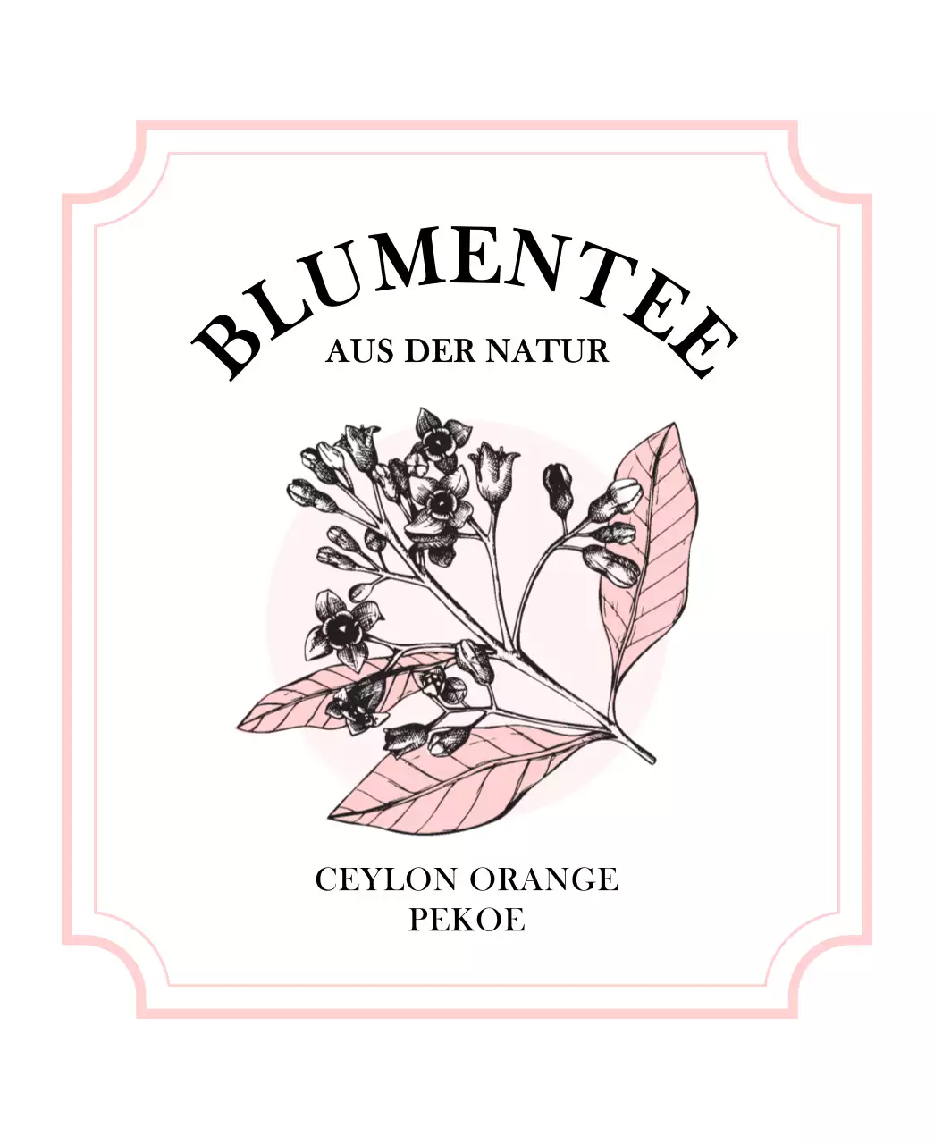 Luxuriöse Teebeutel mit skizzenhaften Illustrationen von Pflanzen und Beeren in Pastellrosa und Hellblau