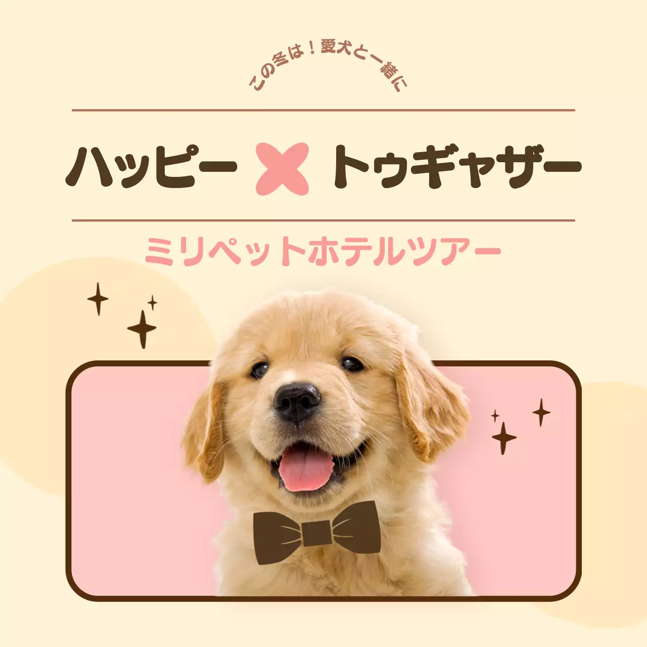 ベージュ かわいい ペット ポスター Instagram カルーセル