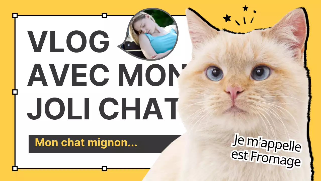 Vlogs de chats