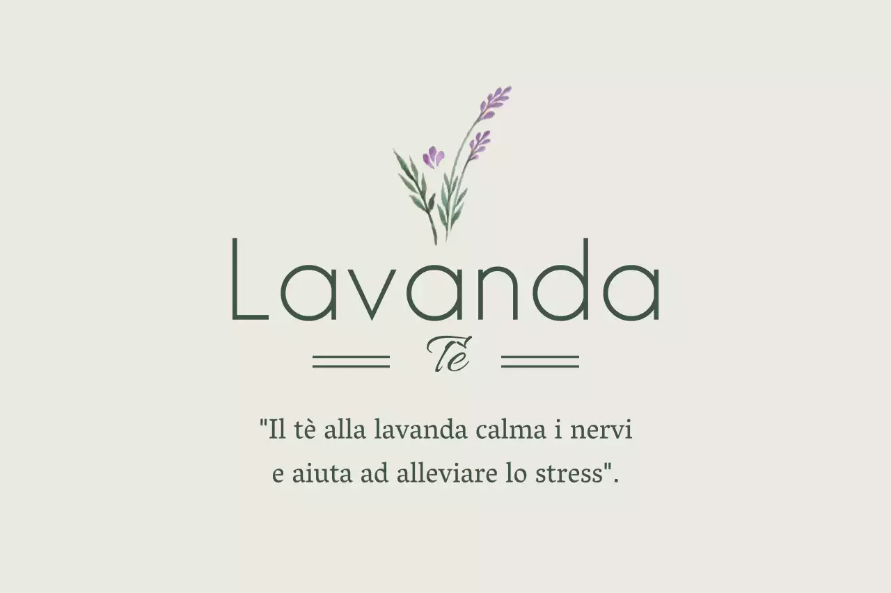 Lavanda