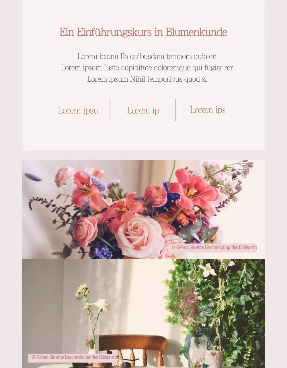 Detailseite Blumenklasse