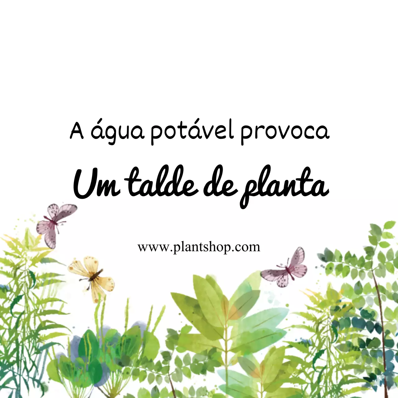 Plantas