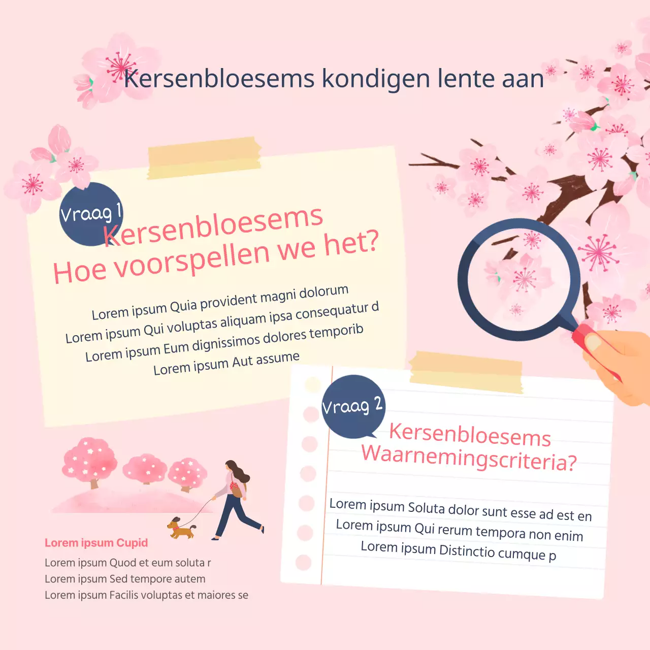 Geïllustreerde kersenbloesemplekken en bloeitijden in roze