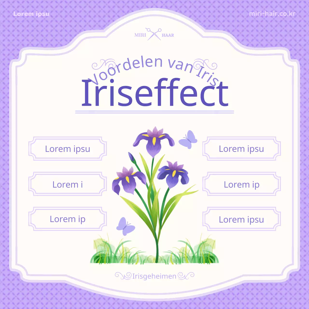 Introductie van het paarse illustratieconcept van tan'o en irisinformatie